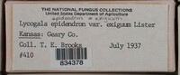 Image Associated With the Occurence